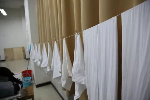 艺染草木，浸润匠心——艺术设计系传统工艺草木染活动侧记